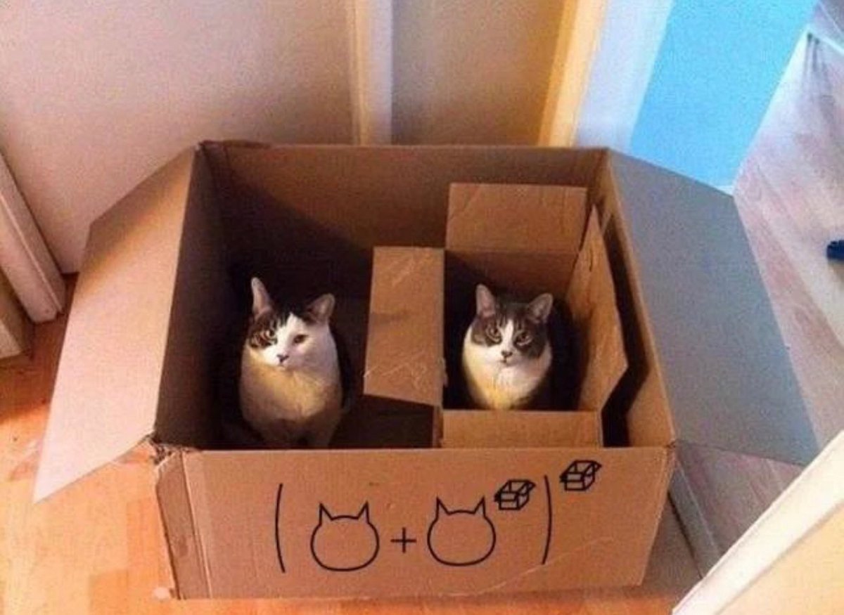 Коробка для кота