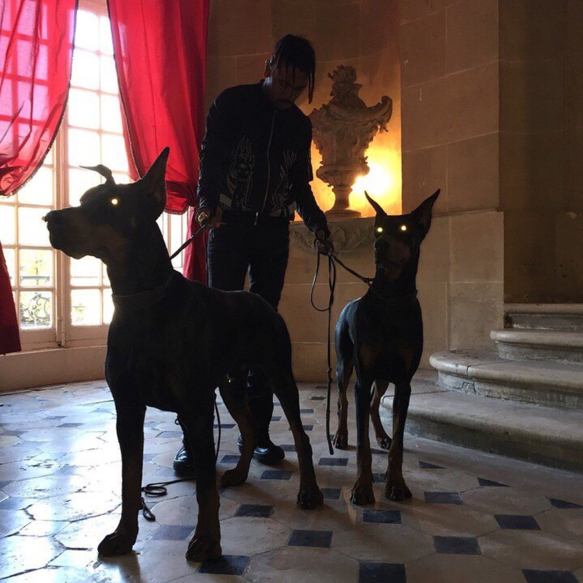 Доберман Black aesthetic