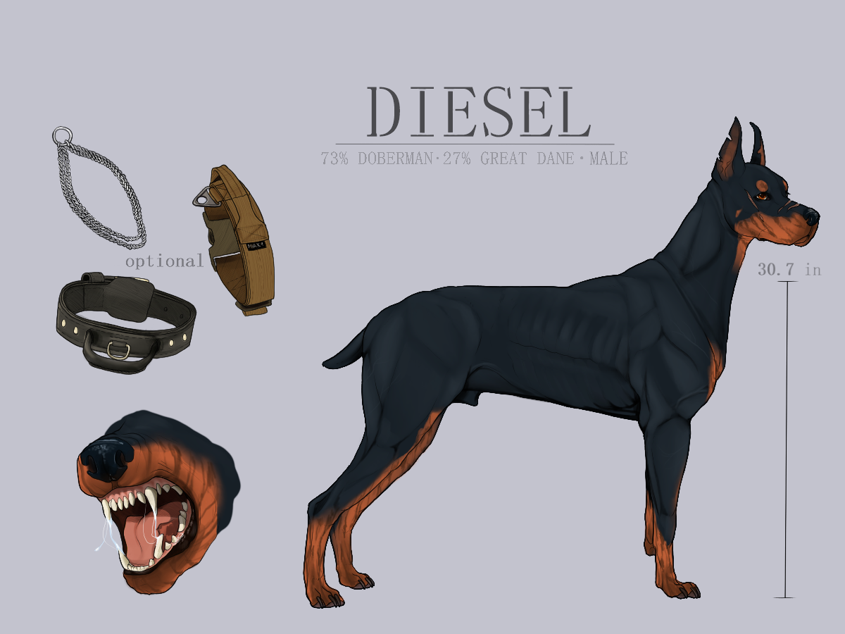 Доберман арт в полный рост