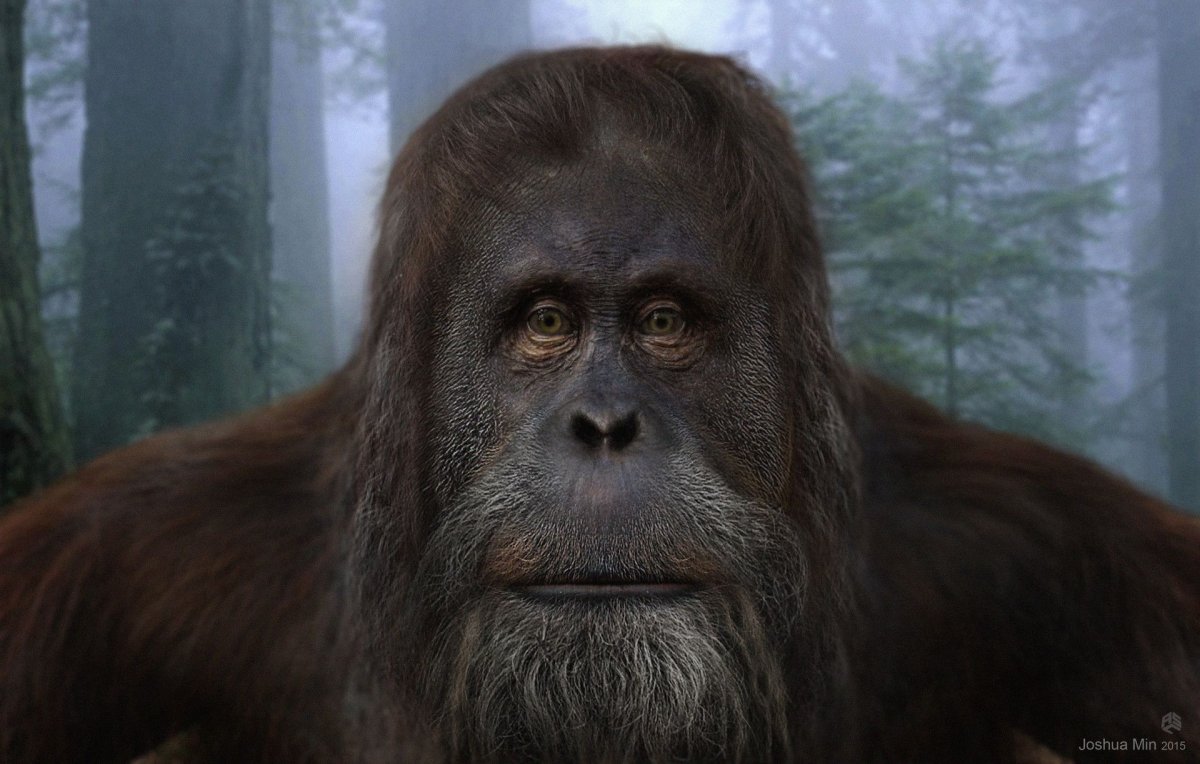 Восстание планеты обезьян орангутанг