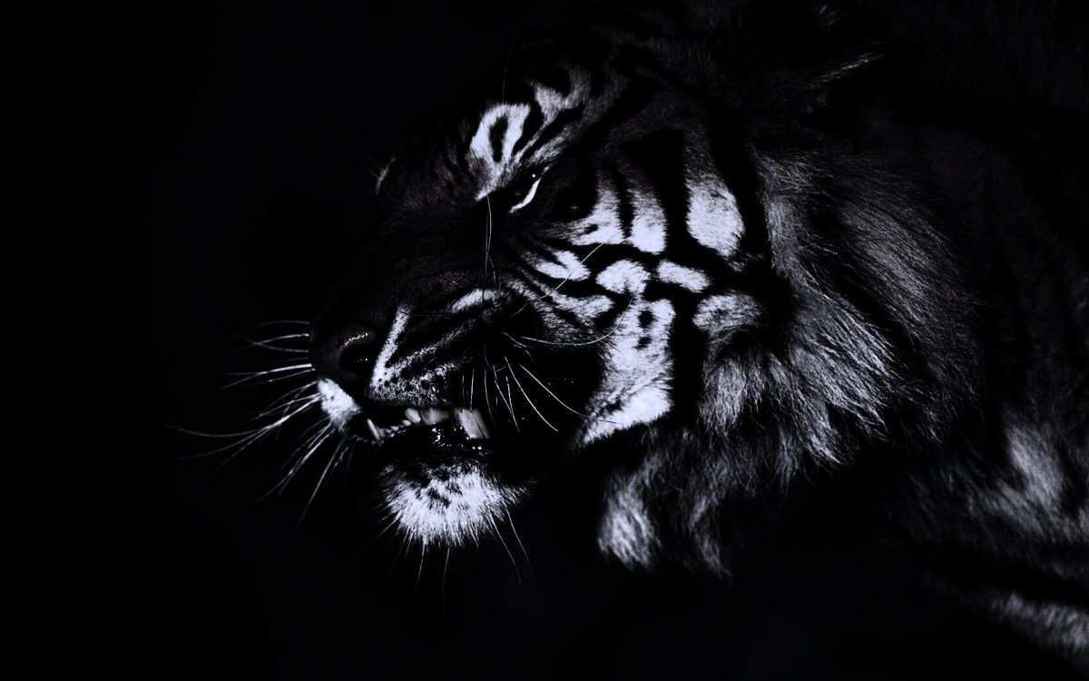 Картинки на черном фоне