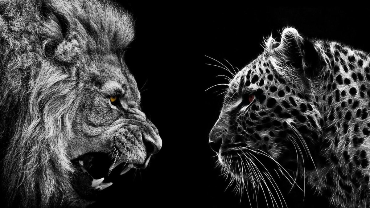 Черный Лев обои