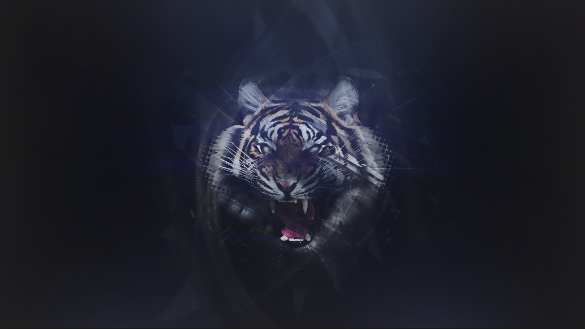 Тигр на темном фоне
