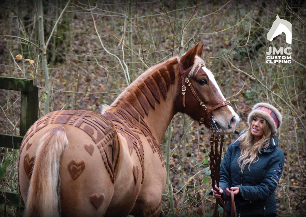 Самые модные прически для жеребца
