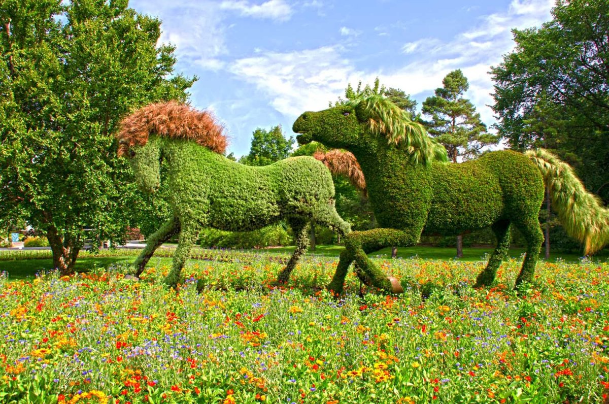 Ботанический сад с животными