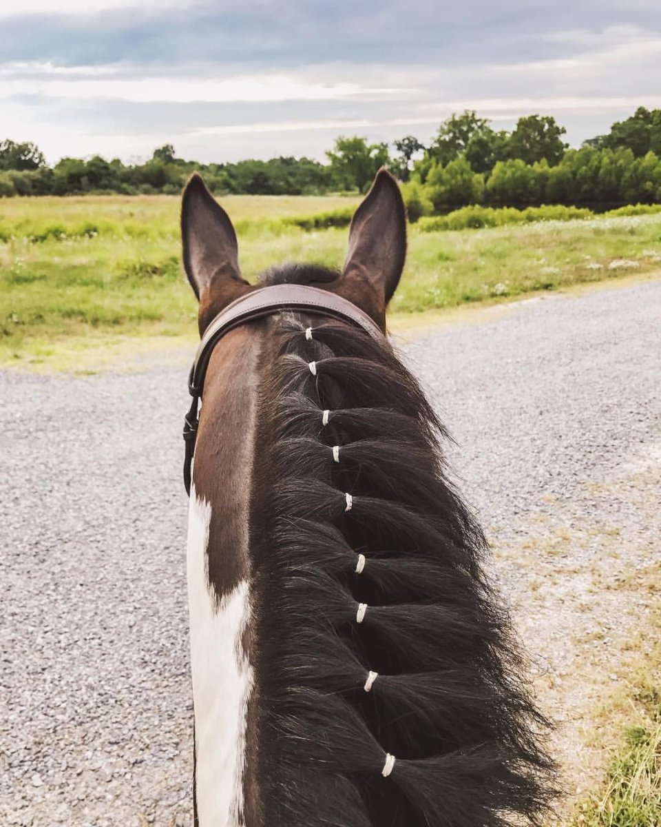 Конская грива прическа
