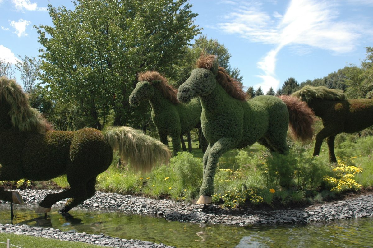 Топиарное искусство лошади