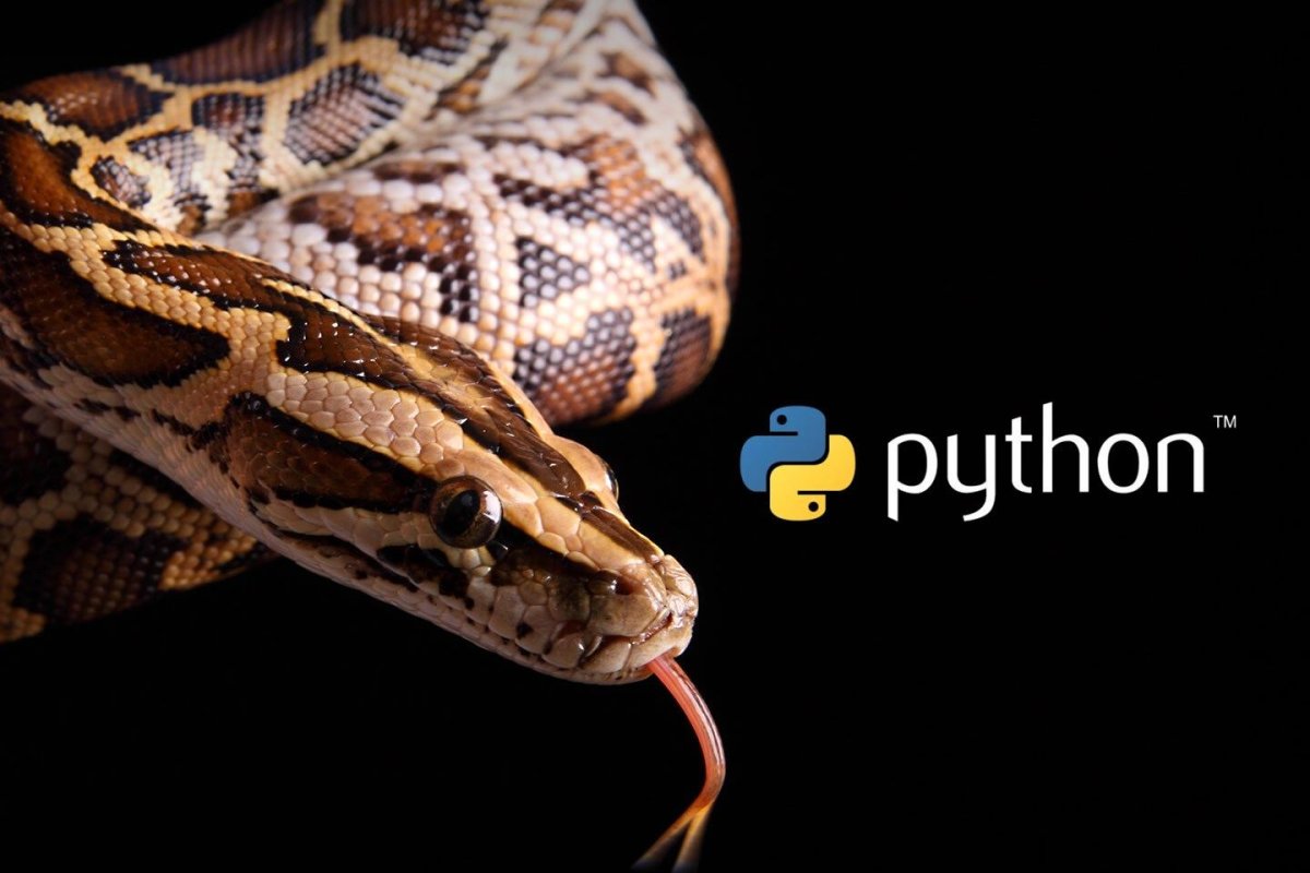 Питон идол