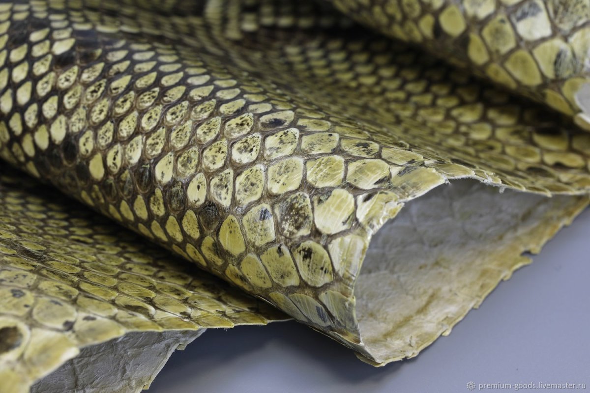 Чешуя питона