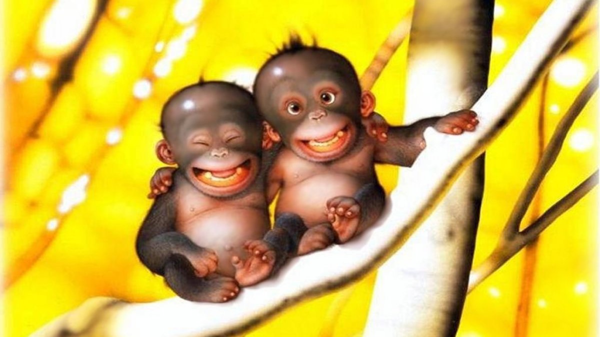 Смешные обезьяны