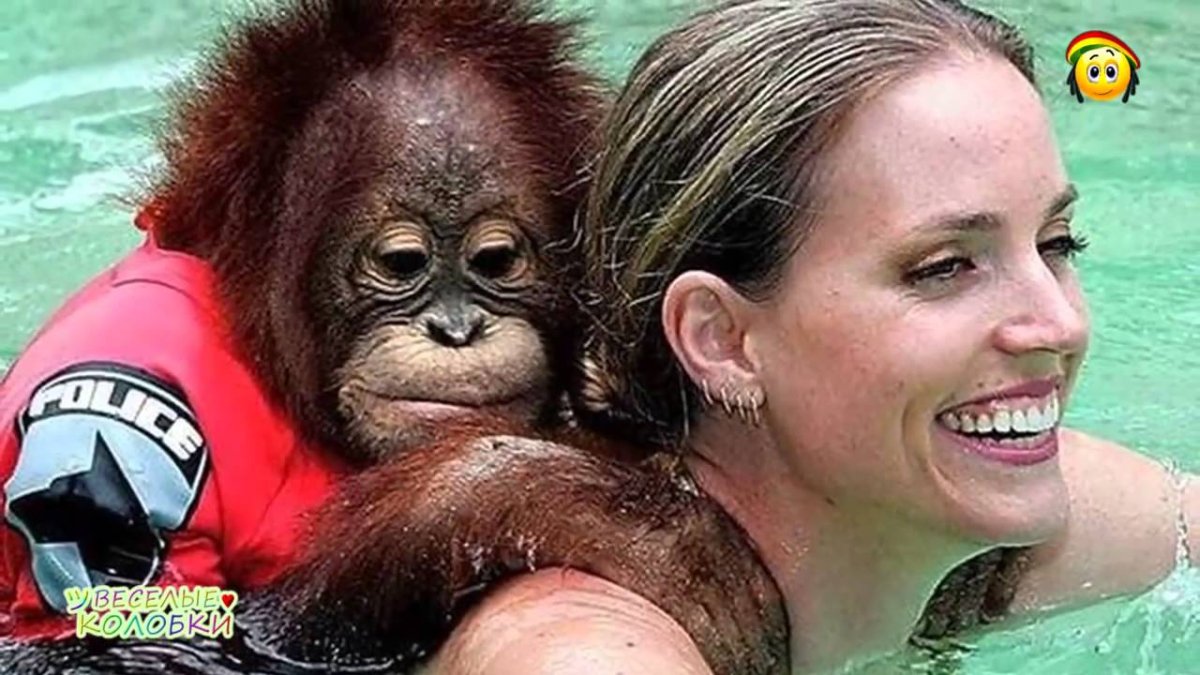 Девушка и обезьяна прикол