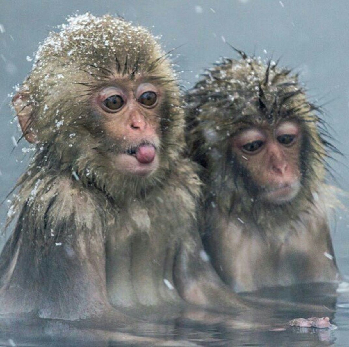 Ты одна такая ненормальная нее у меня еще