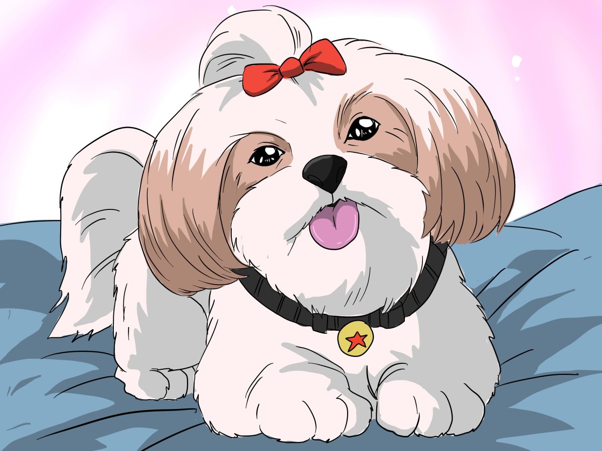 Такса и ши тцу