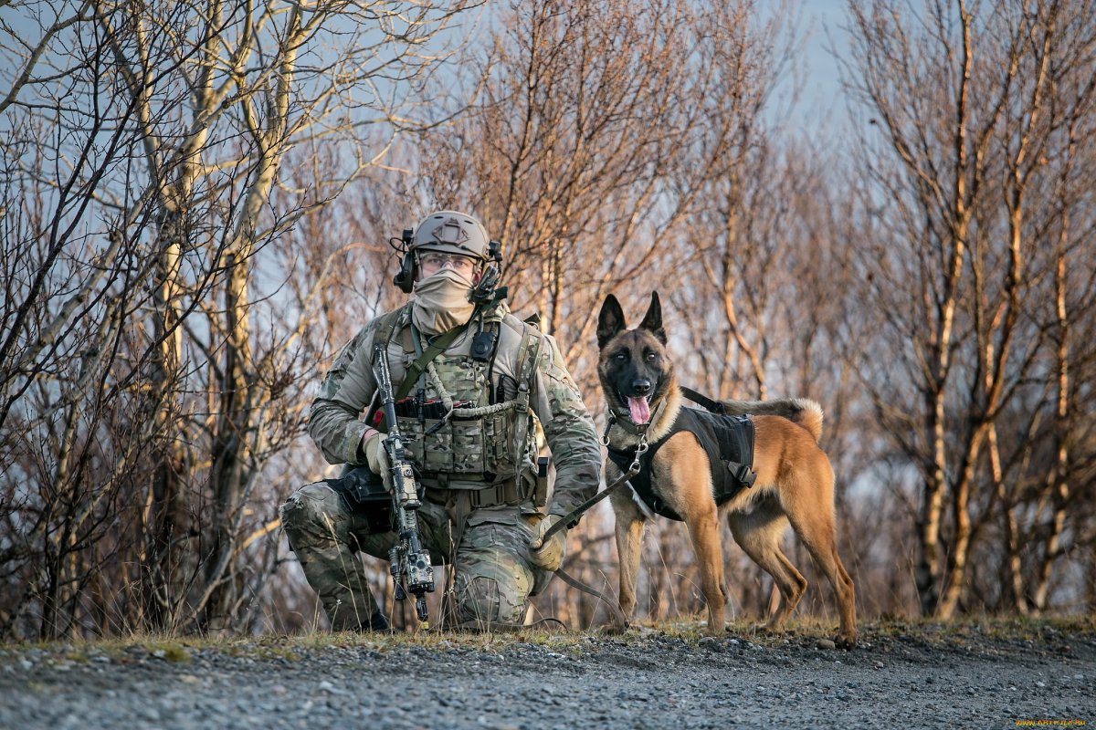 Кинологи спецназа ФСБ