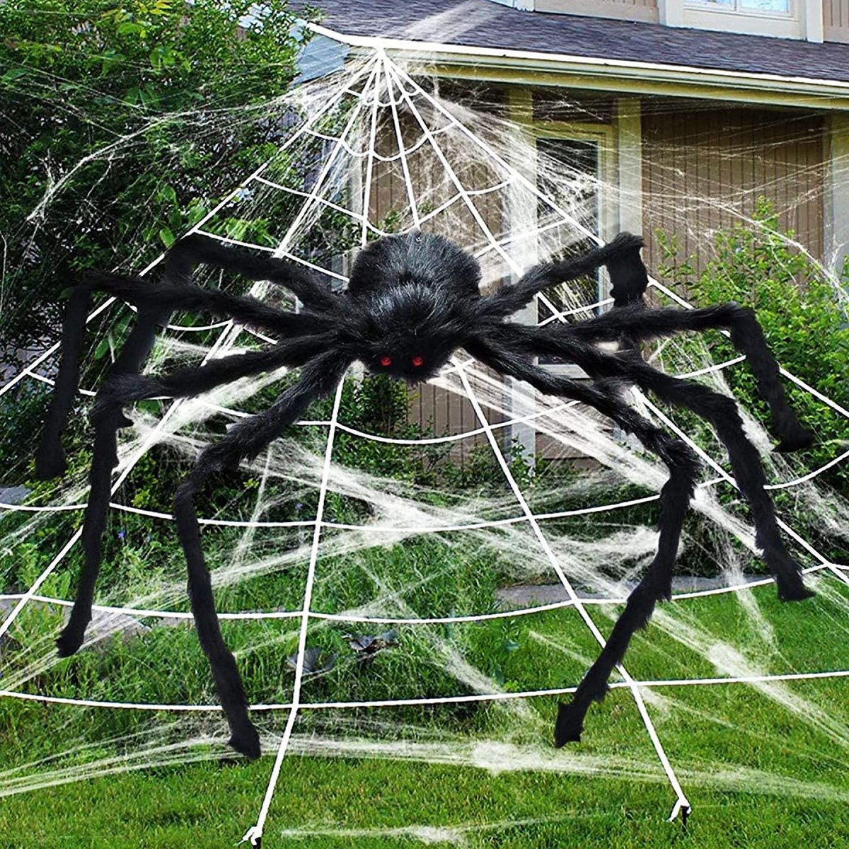 Scary Spider