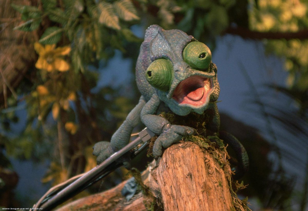 Смешная ящерица