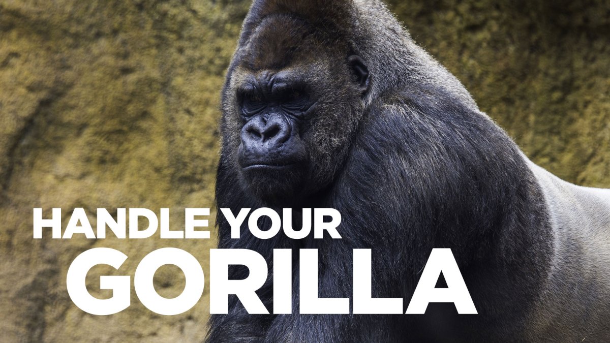 Горилла с газетой