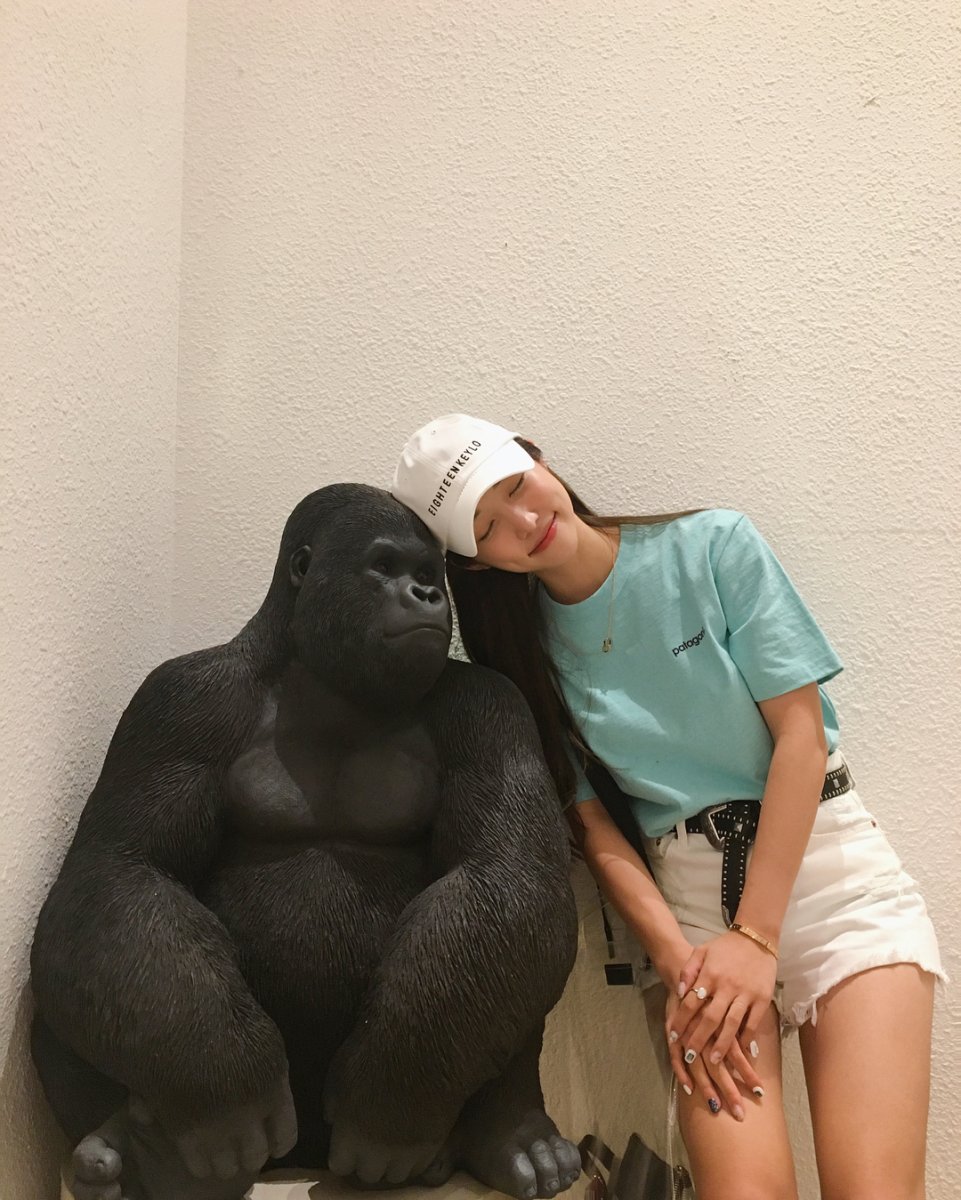 Обезьяна Коко