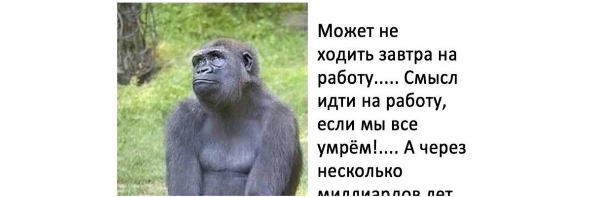 Зачем идти на работу картинки