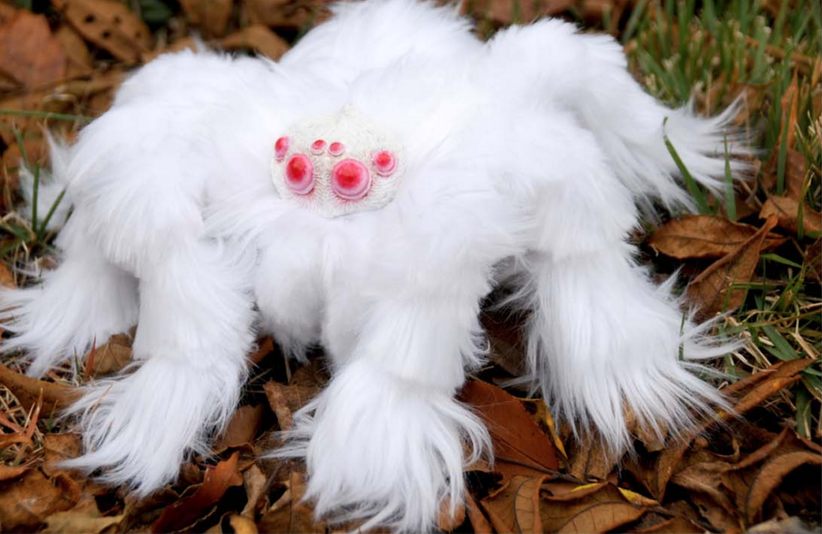 Паук птицеед альбинос