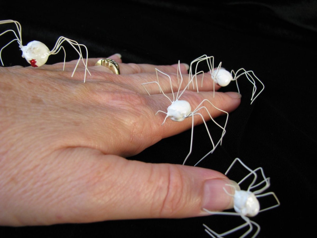 Паук птицеед альбинос