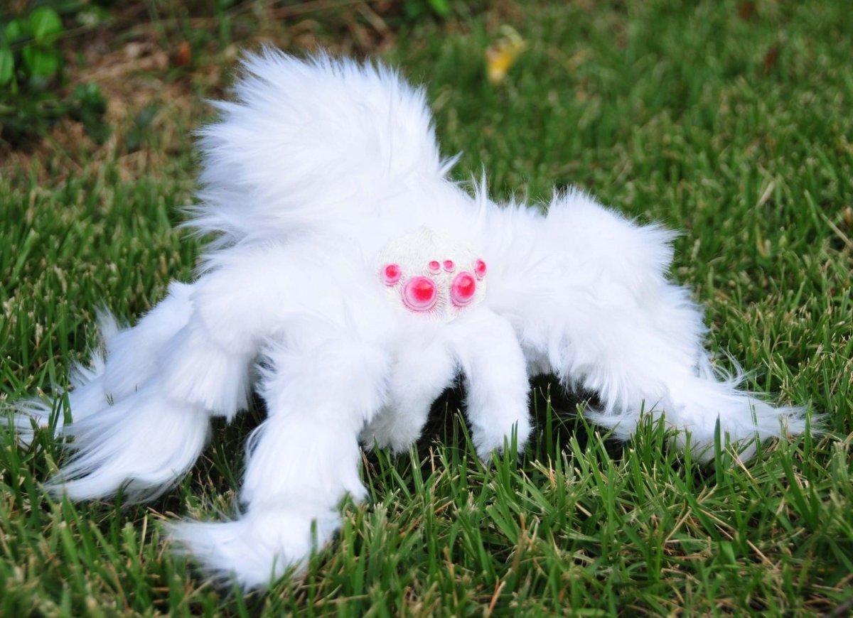 Птицеед альбинос