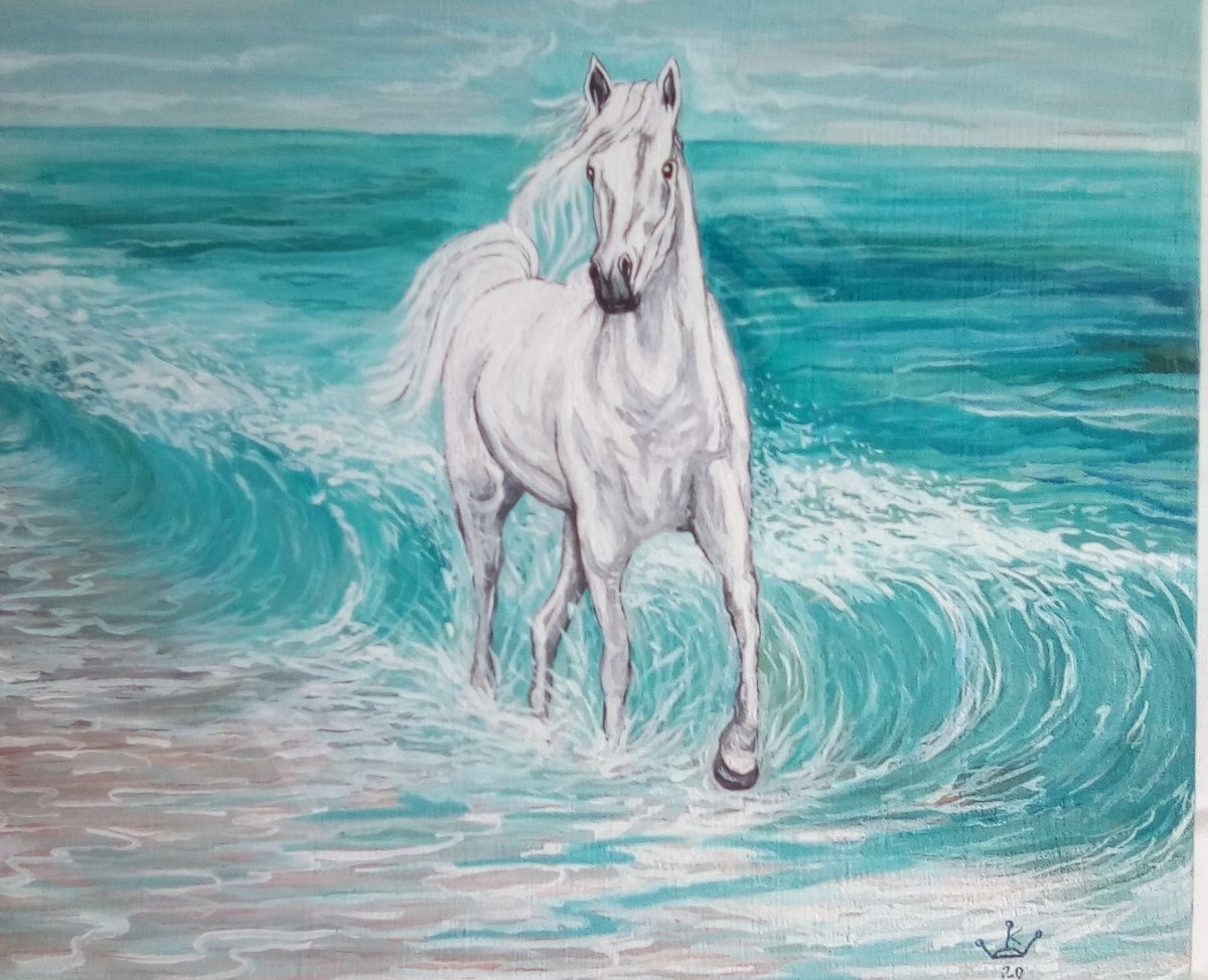 Белая лошадь на берегу моря