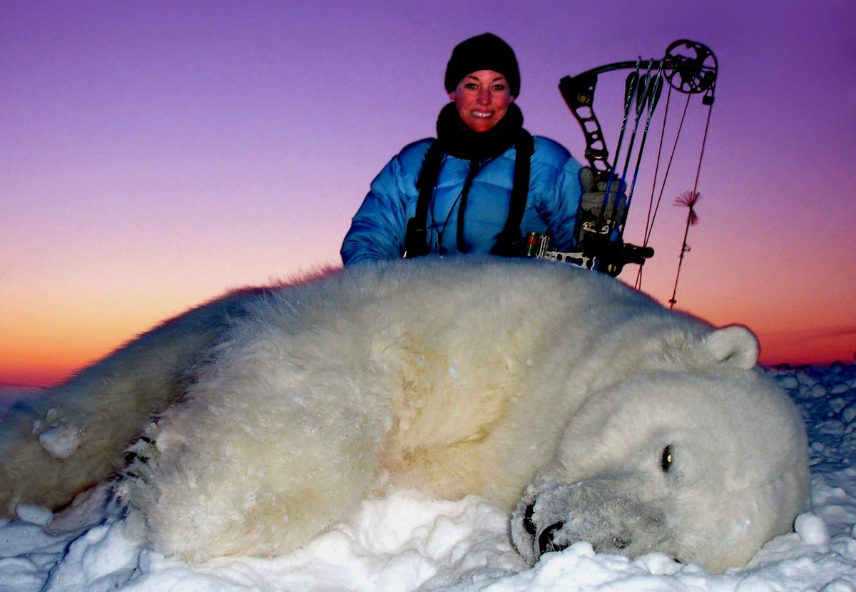 Браконьерство белых медведей