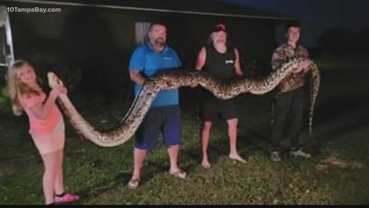 Гигантская Анаконда людоед