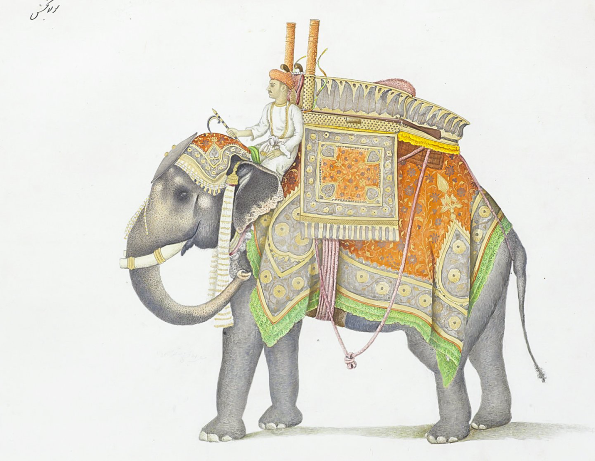 Древняя Индия приручение слона