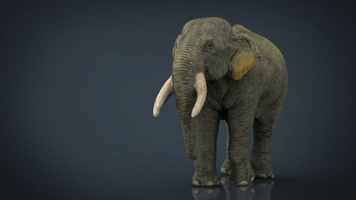 Слон 3д моделирование