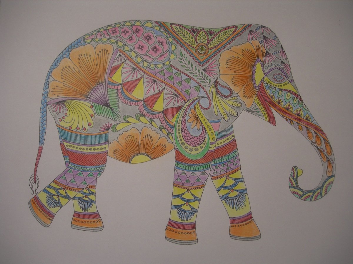 Индийский слон цветной