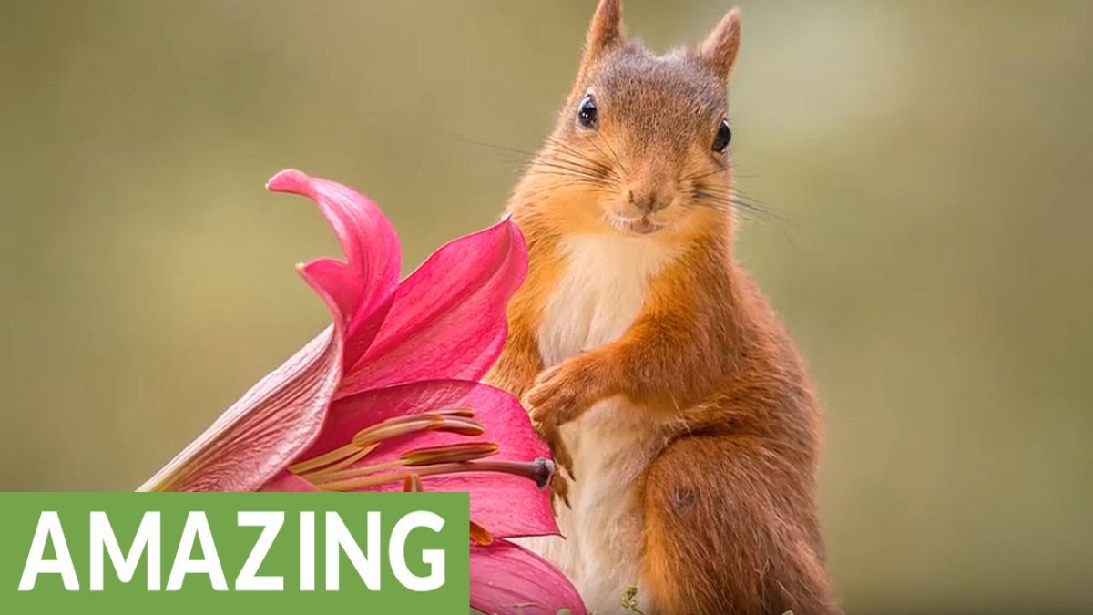 Пожелания с добрым утром с цветами и красивыми словами