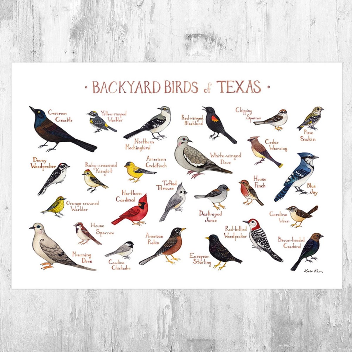 Птицы по месяцам