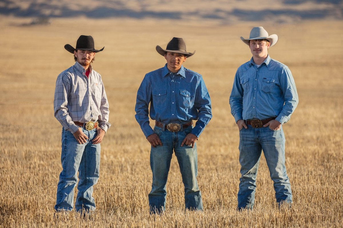 Штат Монтана Ковбои