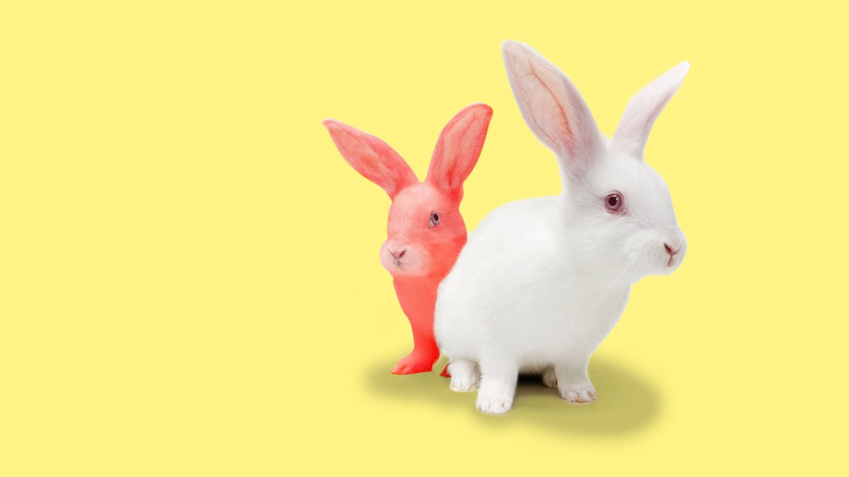 Красный кролик