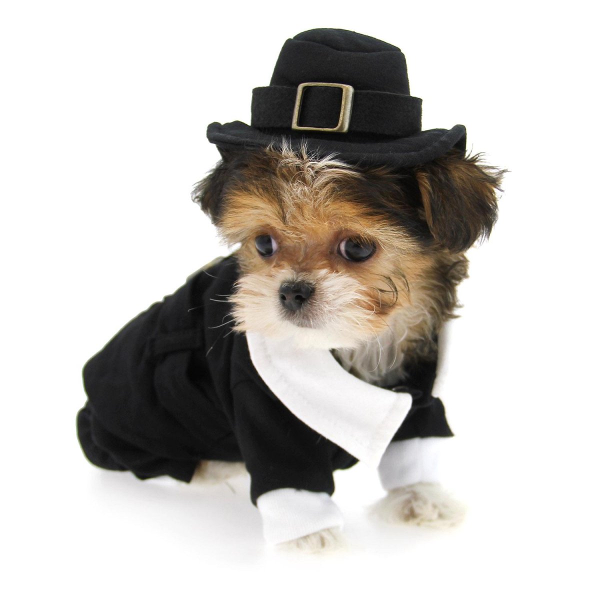 Костюм собаки для мальчика