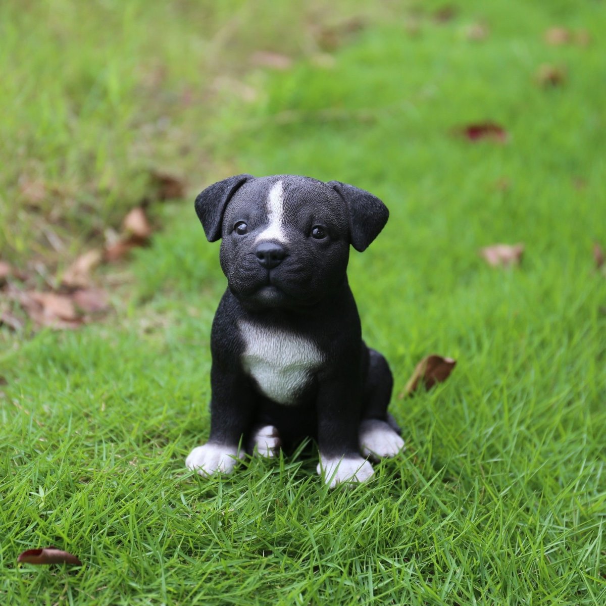 Питбультерьер черный щенок