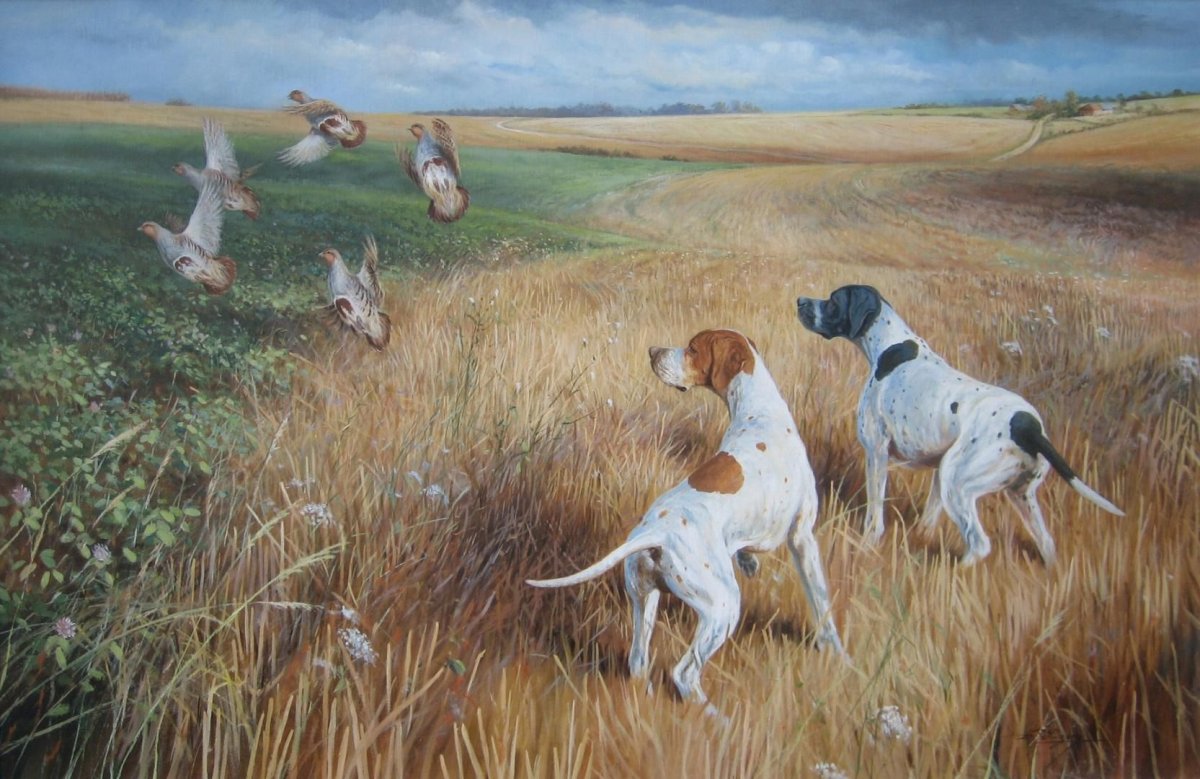 Английский Пойнтер картины