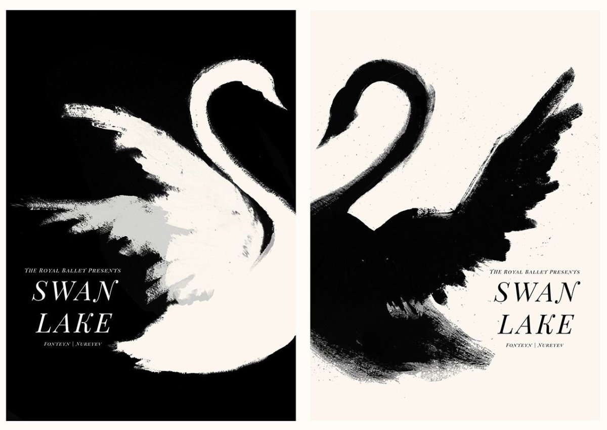 Черный и белый лебедь арт