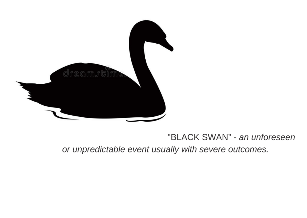 Чёрный лебедь символ чего
