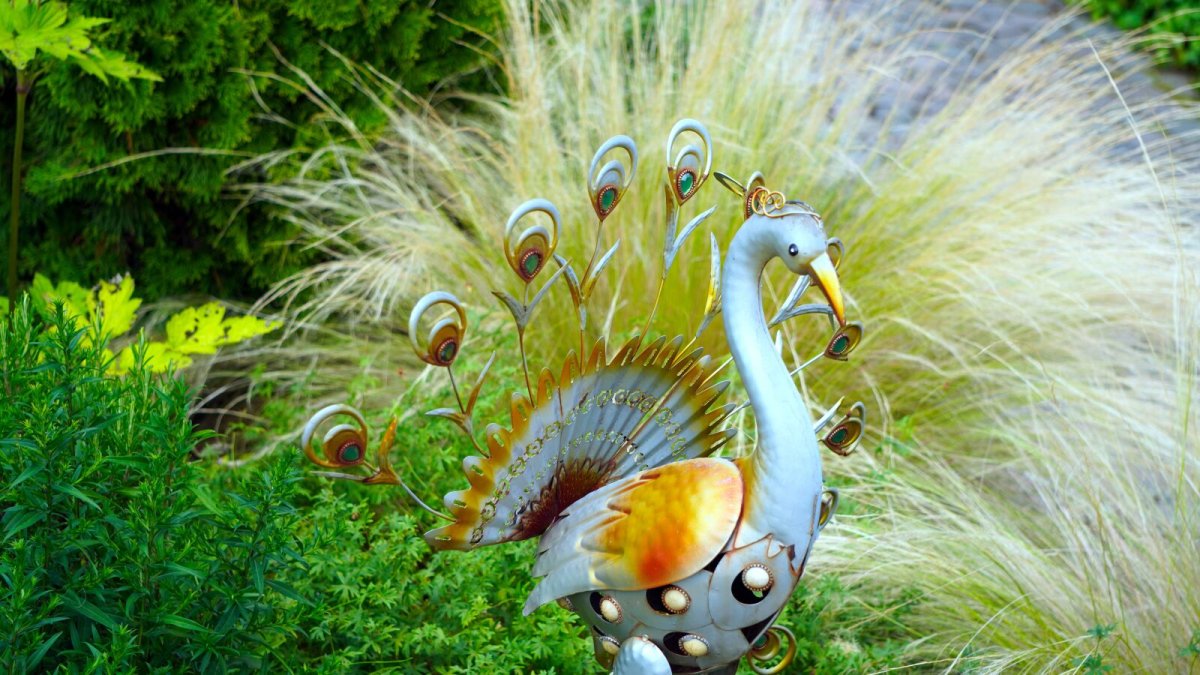 Павлин архитектурная форма