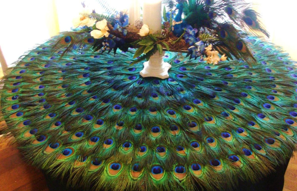 Декор павлиний хвост