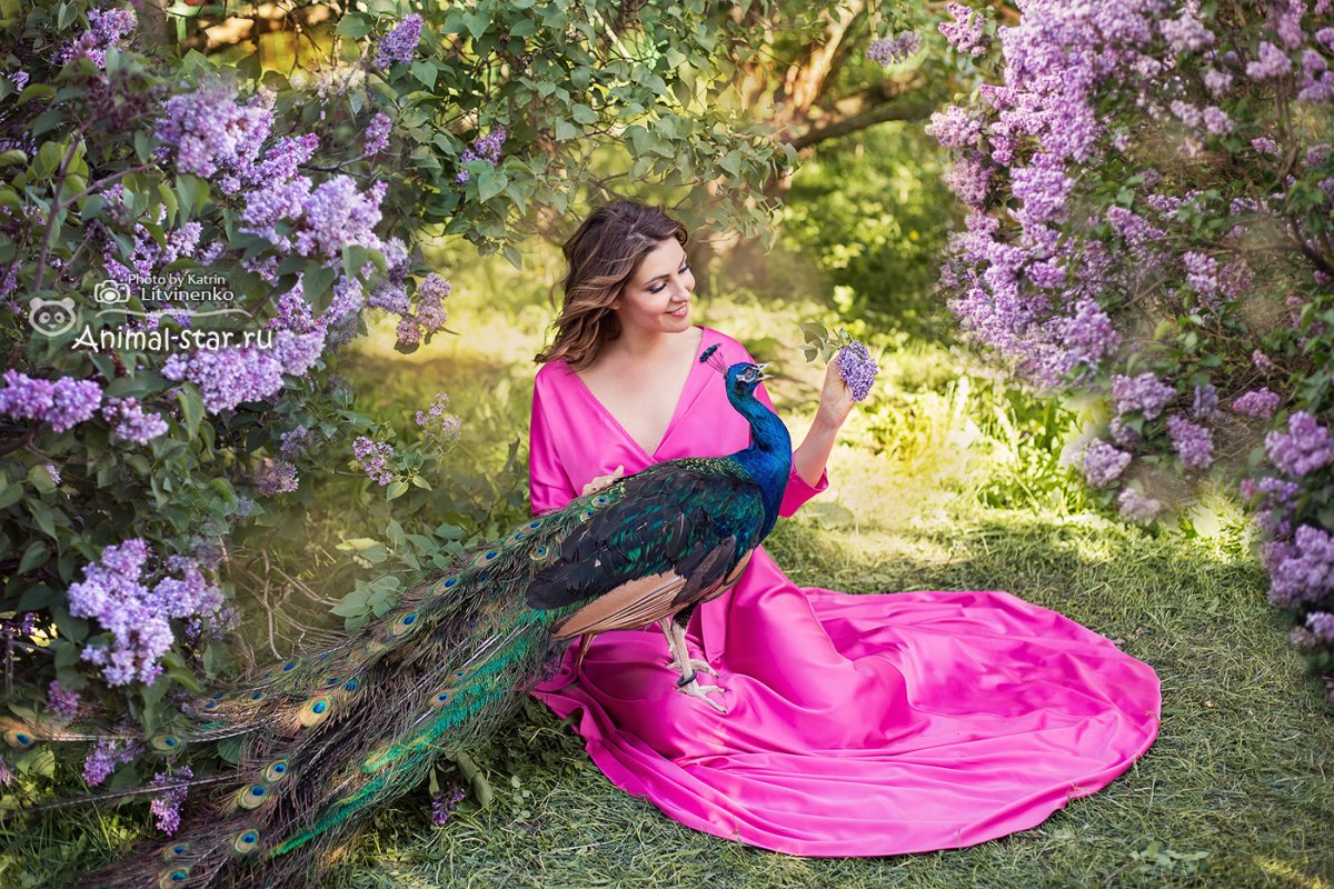 Фотосессия с павлином