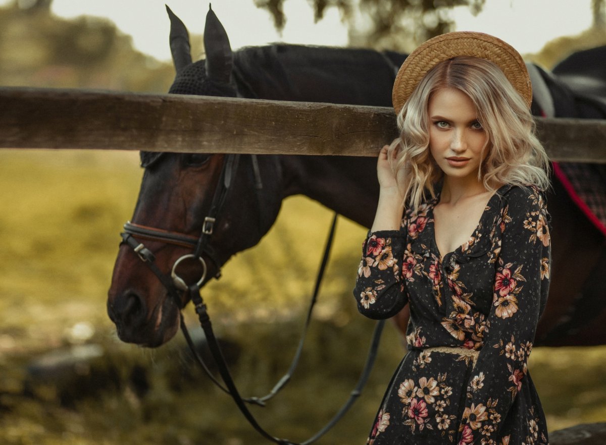 Лошадь в шляпе