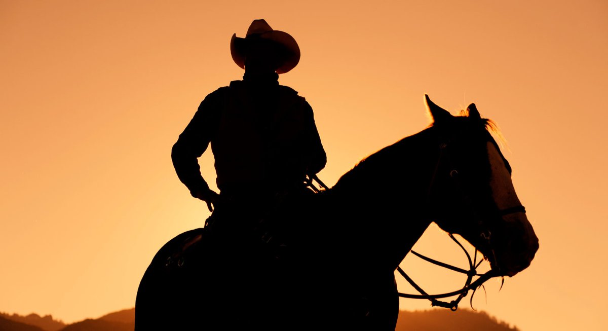 Тени ковбой на лошадях
