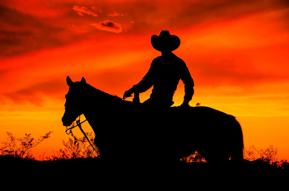 Ковбой на лошади