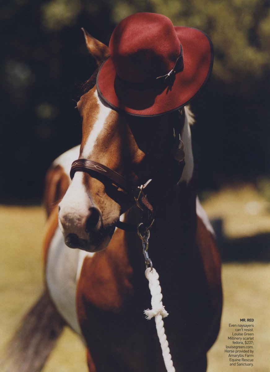 Лошадь в шляпке