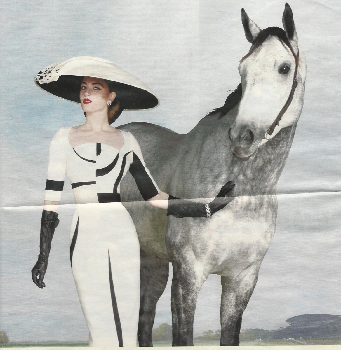 Женщина на лошади в шляпе