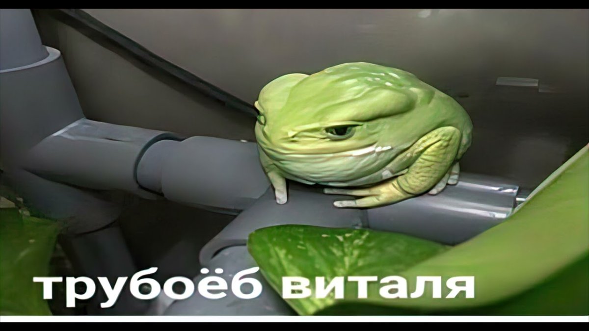 Трубоёб Виталия